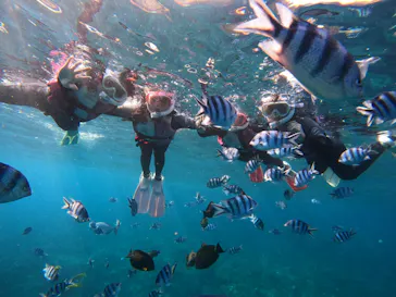 武藤潜水に投稿された画像（2024/1/14）