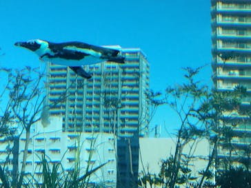 サンシャイン水族館に投稿された画像（2024/1/14）