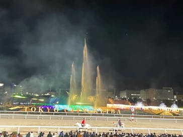 東京メガイルミに投稿された画像（2024/1/14）