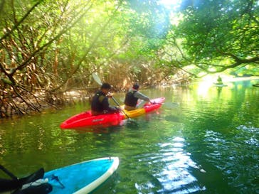 石垣島 ADVENTURE PiPi（イシガキジマアドベンチャーピピ）に投稿された画像（2024/1/14）