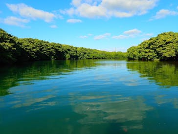 石垣島 ADVENTURE PiPi（イシガキジマアドベンチャーピピ）に投稿された画像（2024/1/14）