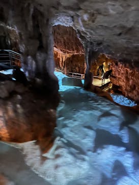 おきなわワールドに投稿された画像（2024/1/14）