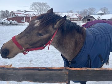 ノーザンホースパークに投稿された画像（2024/1/14）