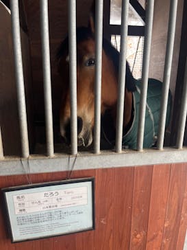 ノーザンホースパークに投稿された画像（2024/1/14）