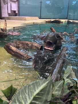 NIFREL（ニフレル）に投稿された画像（2024/1/14）