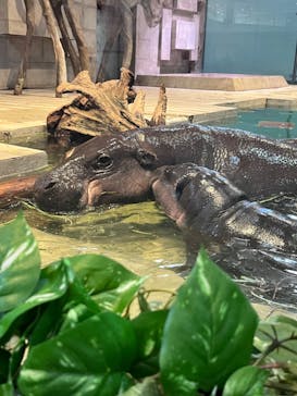 NIFREL（ニフレル）に投稿された画像（2024/1/14）