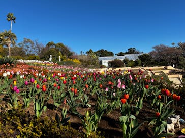 ニューヨークランプミュージアム＆フラワーガーデンに投稿された画像（2024/1/14）