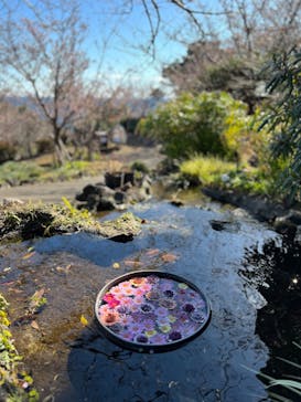 ニューヨークランプミュージアム＆フラワーガーデンに投稿された画像（2024/1/14）