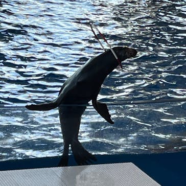 アクアワールド茨城県大洗水族館に投稿された画像（2024/1/14）