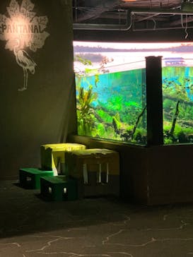 カワスイ 川崎⽔族館に投稿された画像（2024/1/14）