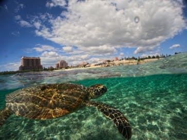 宮古島 ADVENTURE PiPi（ミヤコジマ アドベンチャー ピピ）に投稿された画像（2024/1/14）