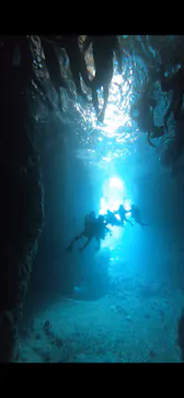 武藤潜水に投稿された画像（2024/1/14）