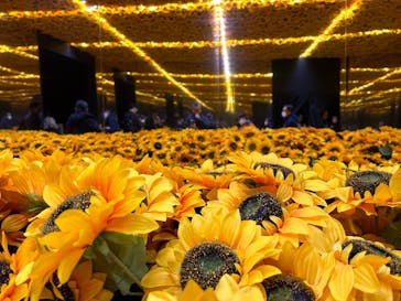 ゴッホ・アライブに投稿された画像（2024/1/14）