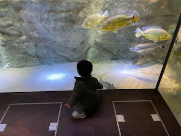 カワスイ 川崎⽔族館に投稿された画像（2024/1/14）