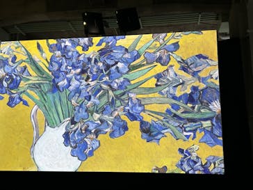 ゴッホ・アライブに投稿された画像（2024/1/14）