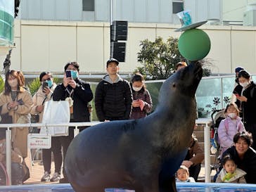 サンシャイン水族館に投稿された画像（2024/1/14）