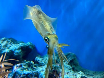 サンシャイン水族館に投稿された画像（2024/1/14）