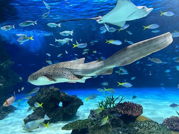 サンシャイン水族館に投稿された画像（2024/1/14）