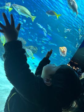 サンシャイン水族館に投稿された画像（2024/1/14）