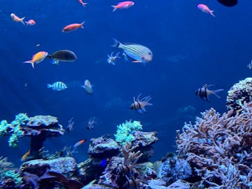 サンシャイン水族館に投稿された画像（2024/1/14）