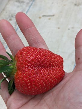 株式会社こまち野に投稿された画像（2024/1/14）