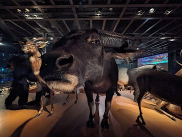 国立科学博物館に投稿された画像（2024/1/14）