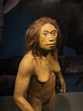 国立科学博物館に投稿された画像（2024/1/14）