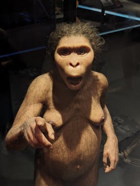 国立科学博物館に投稿された画像（2024/1/14）