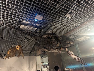 国立科学博物館に投稿された画像（2024/1/14）