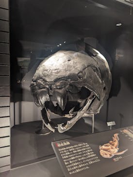 国立科学博物館に投稿された画像（2024/1/14）