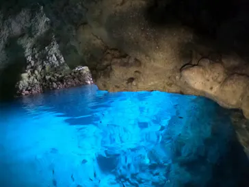 武藤潜水に投稿された画像（2024/1/14）