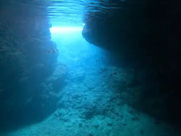 武藤潜水に投稿された画像（2024/1/14）