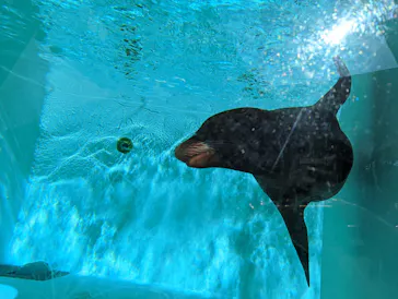天王寺動物園に投稿された画像（2024/1/14）