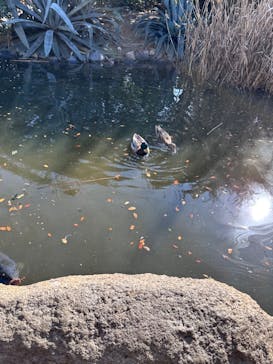 神戸どうぶつ王国に投稿された画像（2024/1/14）