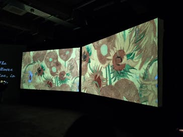 ゴッホ・アライブに投稿された画像（2024/1/14）