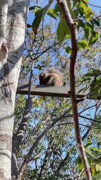 神戸どうぶつ王国に投稿された画像（2024/1/14）
