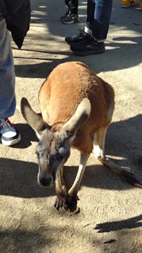 神戸どうぶつ王国に投稿された画像（2024/1/14）