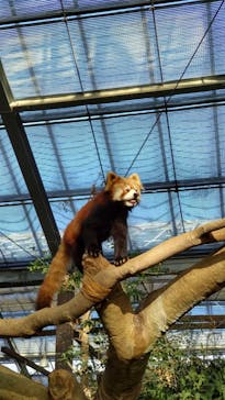 神戸どうぶつ王国に投稿された画像（2024/1/14）