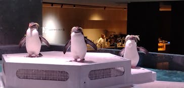 AOAO SAPPOROに投稿された画像（2024/1/14）