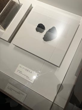 特別展「和食 ～日本の自然、人々の知恵～」に投稿された画像（2024/1/14）