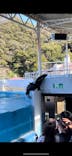 下田海中水族館に投稿された画像（2024/1/14）