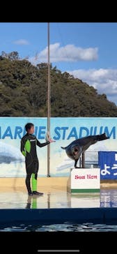 下田海中水族館に投稿された画像（2024/1/14）