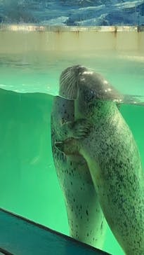 下田海中水族館に投稿された画像（2024/1/14）