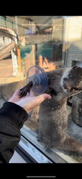 下田海中水族館に投稿された画像（2024/1/14）