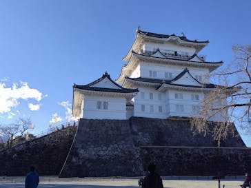 小田原城に投稿された画像（2024/1/14）