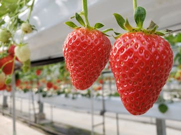 株式会社こまち野に投稿された画像（2024/1/14）