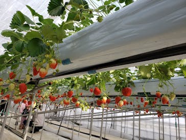 株式会社こまち野に投稿された画像（2024/1/14）