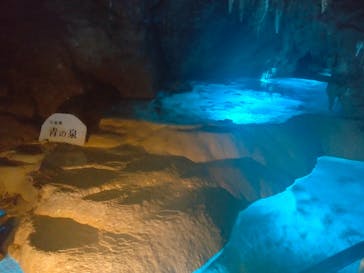 おきなわワールドに投稿された画像（2024/1/14）