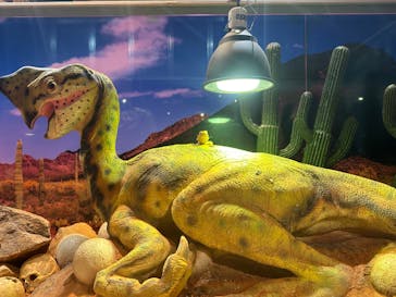 NARA IKIMONO MUSEUMに投稿された画像（2024/1/14）