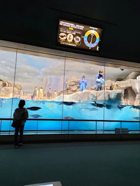 名古屋港水族館に投稿された画像（2024/1/14）